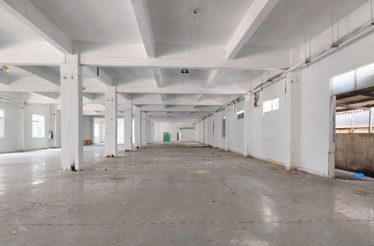 清溪大利新出标准一楼1000平低价厂房出租可分租