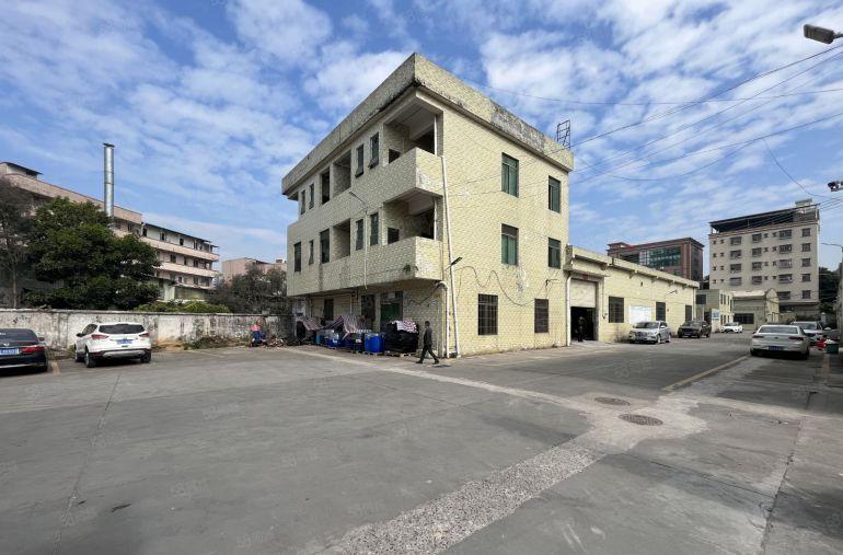 清溪新出原房东独院砖墙到顶单一层工业用地空地超大适合各行各业