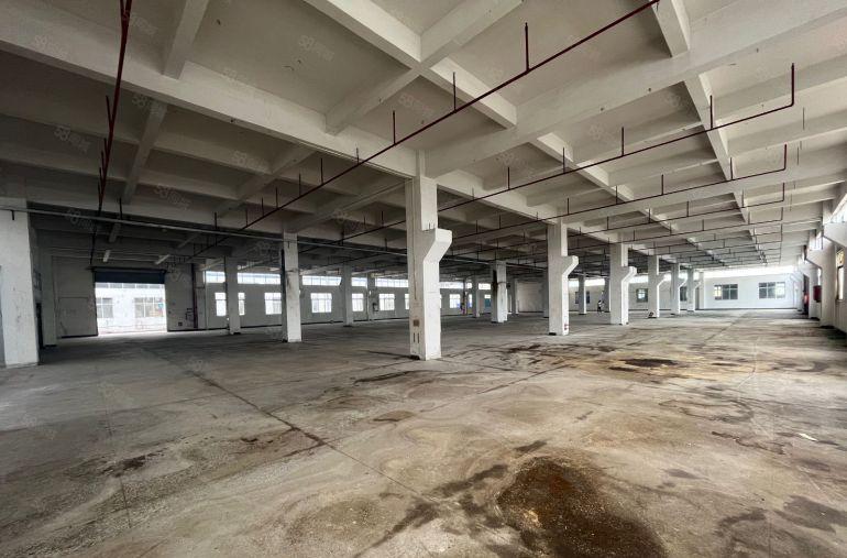 清溪三中原房东独院厂房出租一楼11块每平方，免租期超长