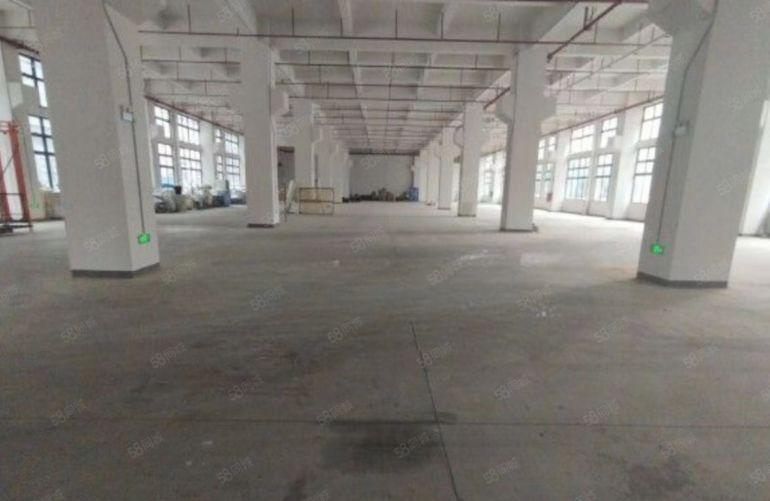 清溪标准厂房二楼150平主线到车间，有地坪漆，层高5米