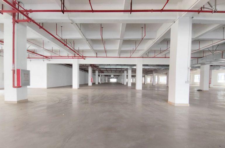 东莞清溪三中新出标准一楼3000平低价厂房出租可分租