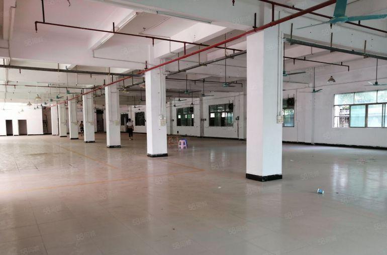 清溪三中独门独院8000平厂房出租9块钱起租空地大仓库低价出