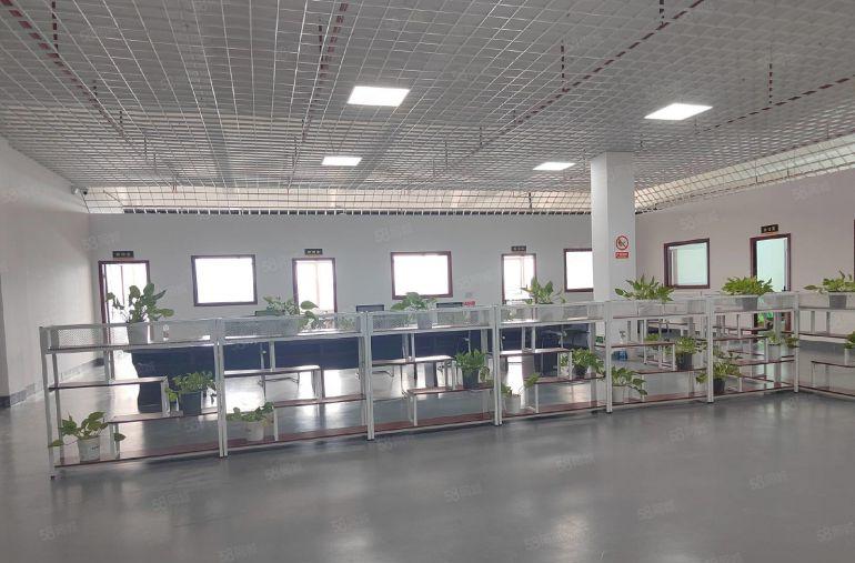 横沥工业区新出原房东标准独门独院5600平方低价出租