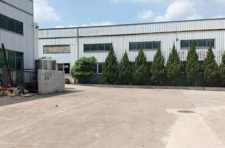 横沥镇水边工业区原房东单一层1100平方现成喷油环评水电齐全