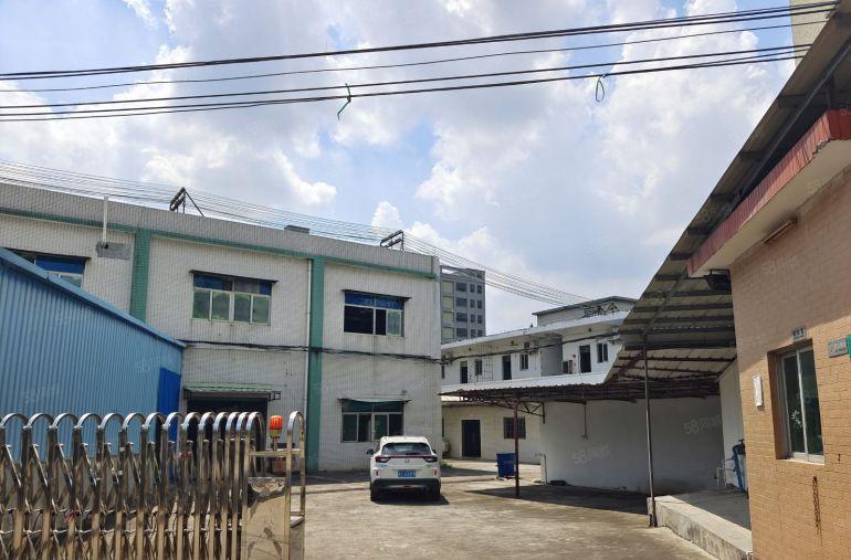 横沥镇原房东经典小独院2000平方标准厂房低价出租，交通便利