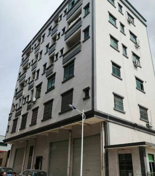 横沥镇原房东独院单一层2500平环氧漆地坪带牛角位低价招租