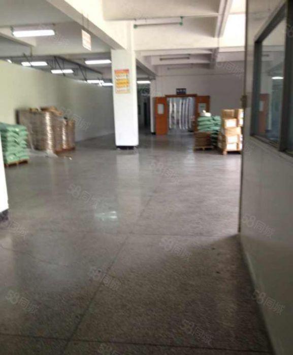 东莞横沥花园式独院厂房可按需分租