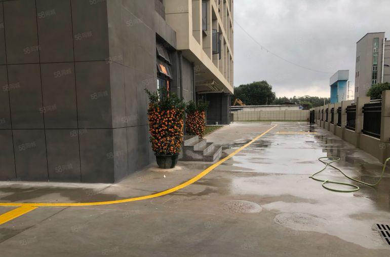 横沥全新原房东标准厂房出租交通便利大小可分租