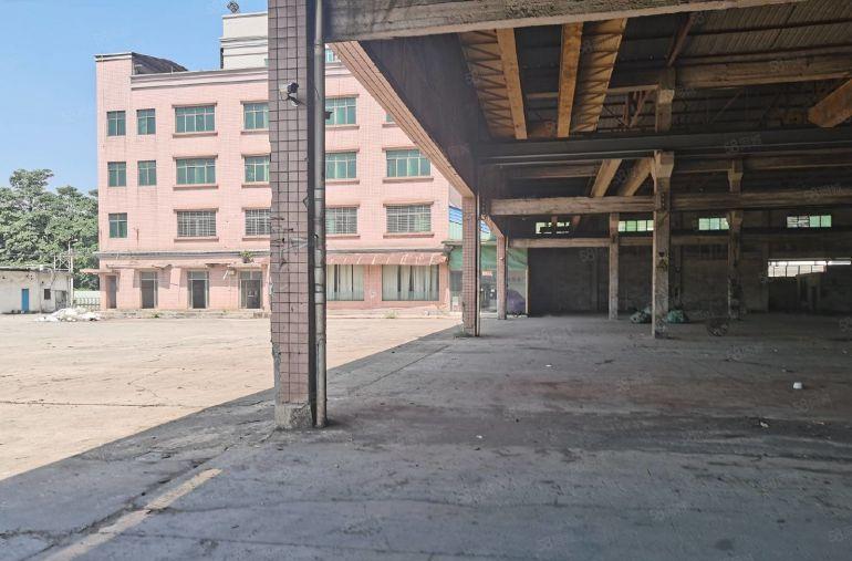 东莞沙田镇新出原房东独院7300平高度8.5米诚租15元平