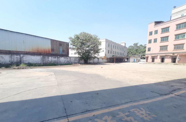 东莞沙田镇新出原房东独院7300平高度8.5米诚租15元平