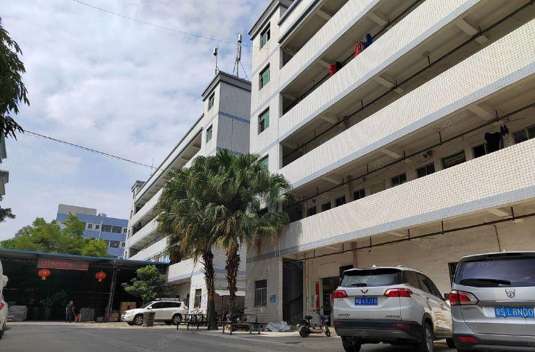 10元300平桥头楼上标准厂房2800平可分租，水电现成