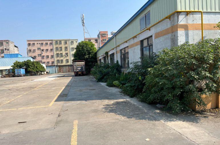 桥头靠近惠州新出底价出租单一钢结构2500平米，超大空地