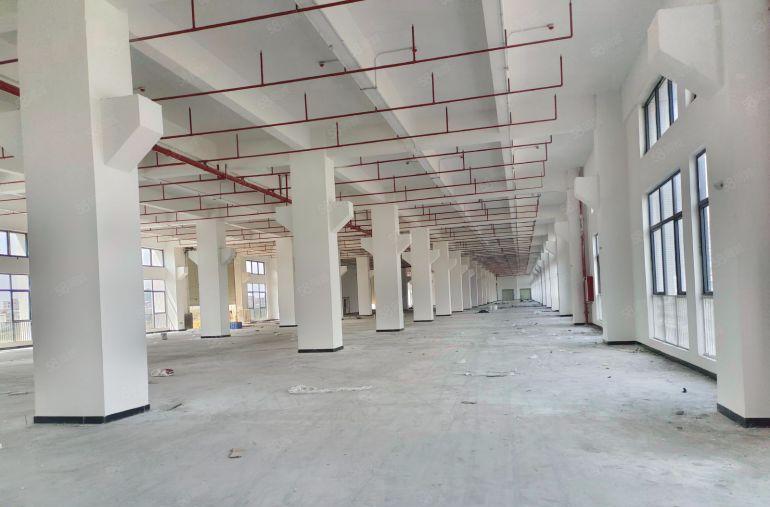 东坑原房东一楼1200平层高7米带牛角厂房出租