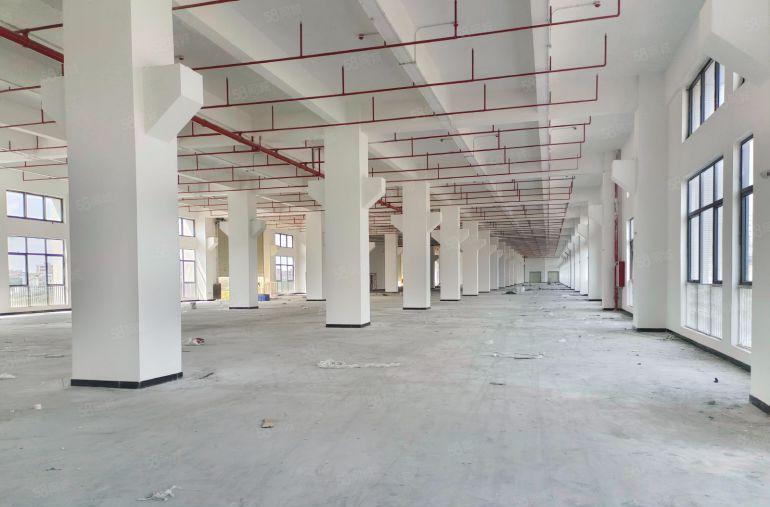 东坑原房东一楼1200平层高7米带牛角厂房出租