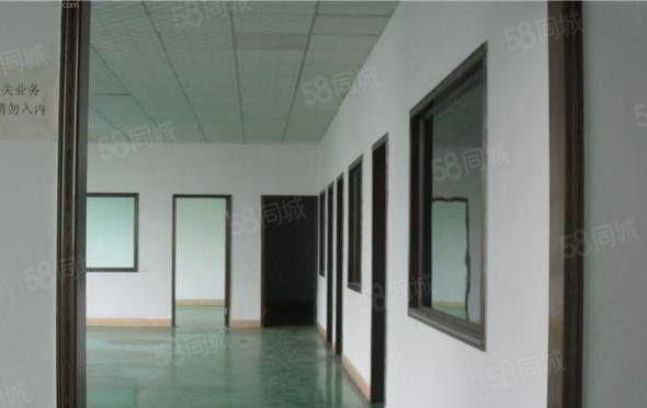 房东直租 一楼 300平方 10元 不接受污染大的行业