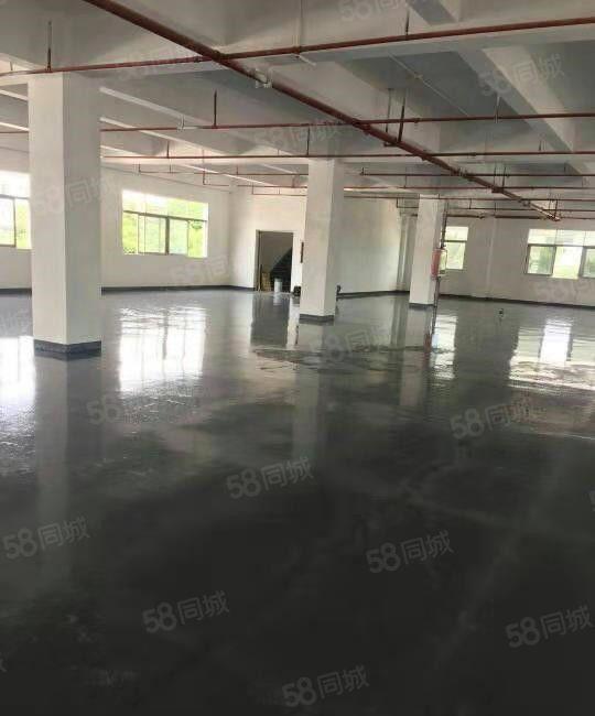 东坑 凤大 高新科技园 二楼 1000平方，带精装修