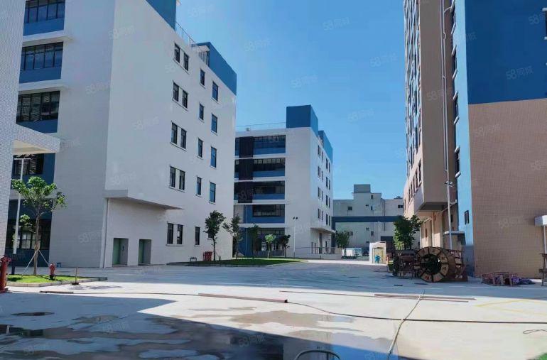 原房东厂房实际面积出租，新出13500平方全新红本厂房出租