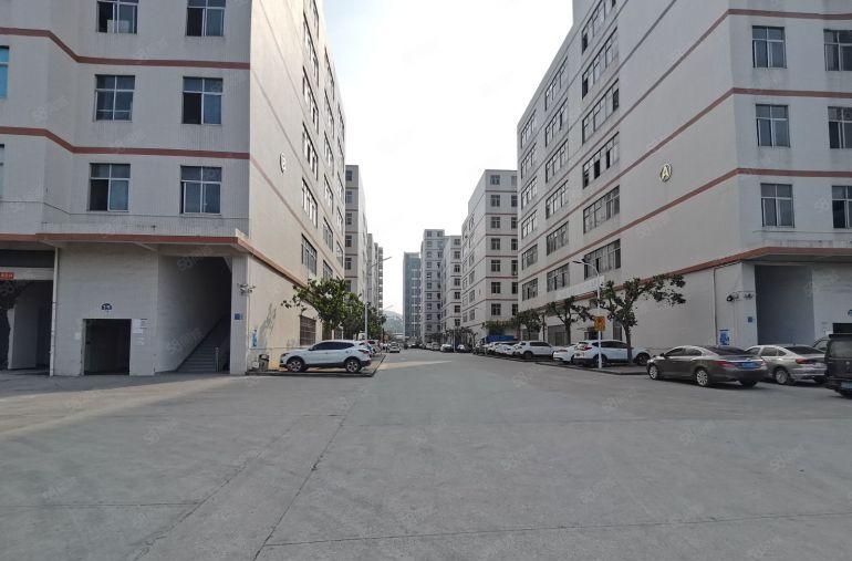 两百平起租原房东7元道滘洪梅望牛墩3千平尾盘一楼仓库厂房出租