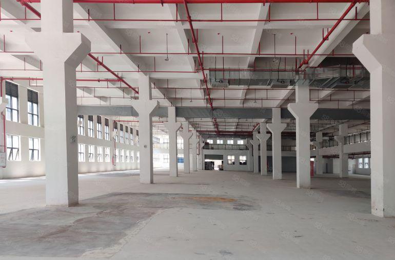 一手房东7元低价出租道滘望牛墩洪梅4千平可分一楼仓库厂房出租