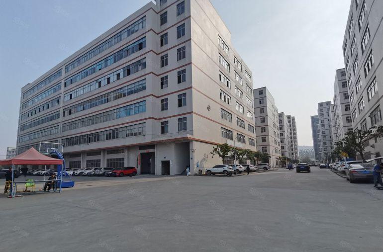 两百平起租原房东7元道滘洪梅望牛墩3千平尾盘一楼仓库厂房出租