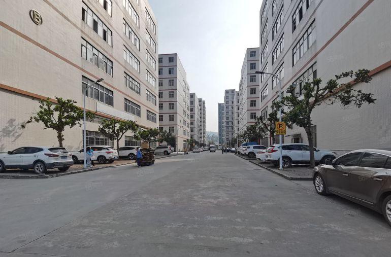 两百平起租原房东7元道滘洪梅望牛墩3千平尾盘一楼仓库厂房出租