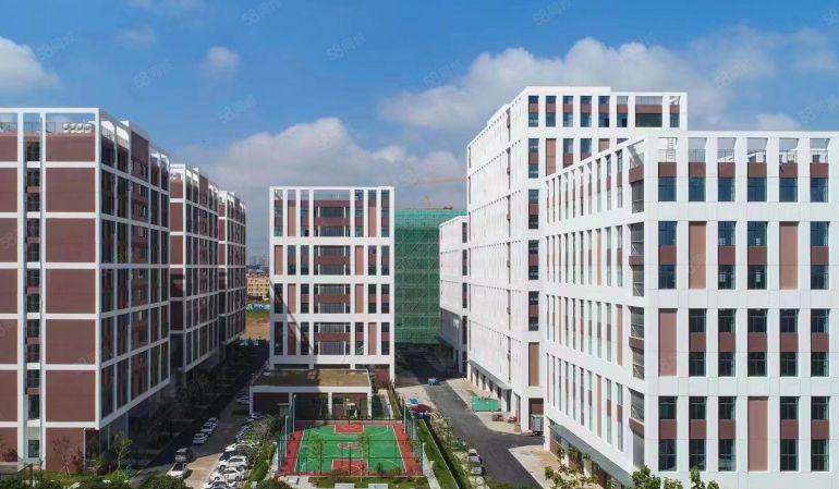 茶山原房东新出8米高15660平重工业全新厂房出租