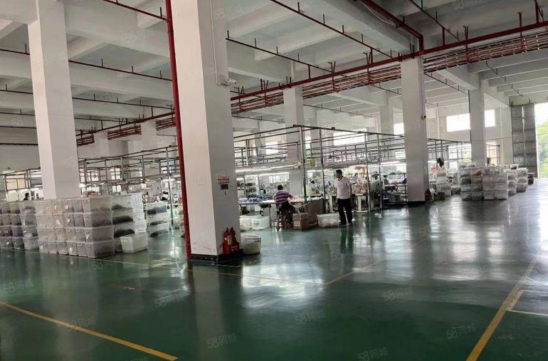 厂房出租 茶山镇工业园标准厂房分租二楼5000平方7米高