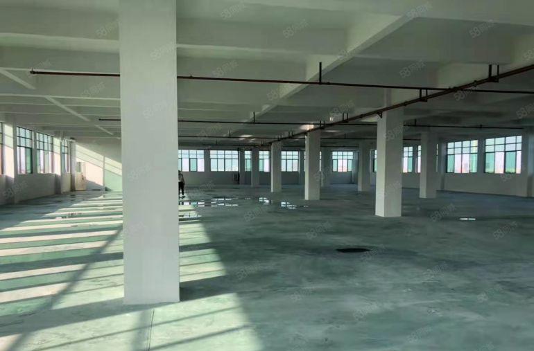 茶山镇厂房出租 标准厂房分租楼上1000平方 九成新