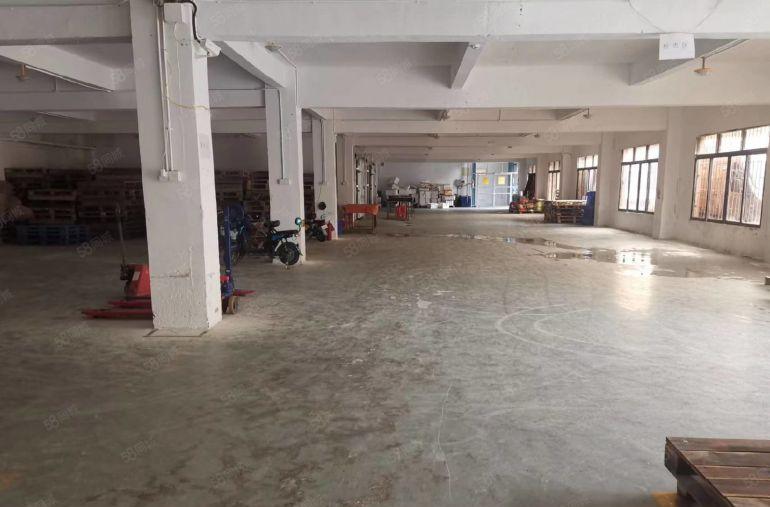 茶山厂房出租 茶山原房东独门独院三层厂房总面积4000平方