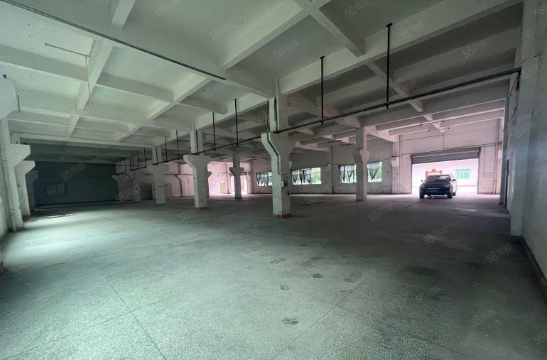 茶山镇独门独院厂房出租原房东低价出租空地超大工业用地交通便利