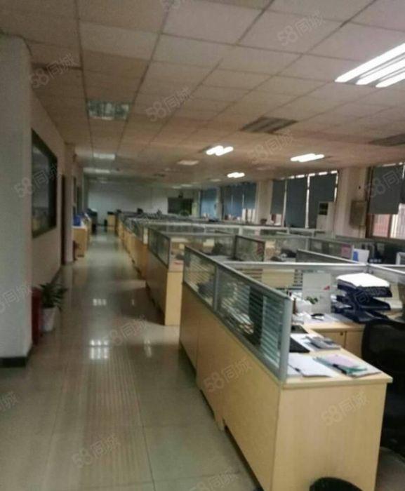 茶山镇厂房出租 标准厂房分租楼上1000平方 九成新