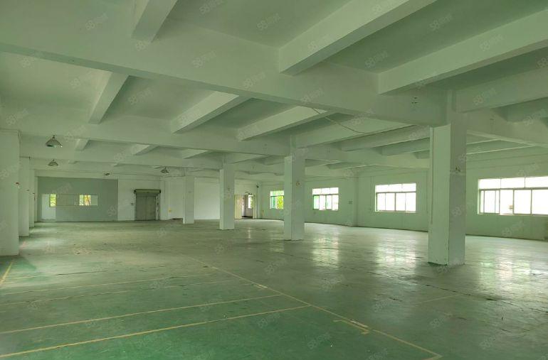 石排镇向西村原房东二楼1000平厂房出租 带现成豪华装修