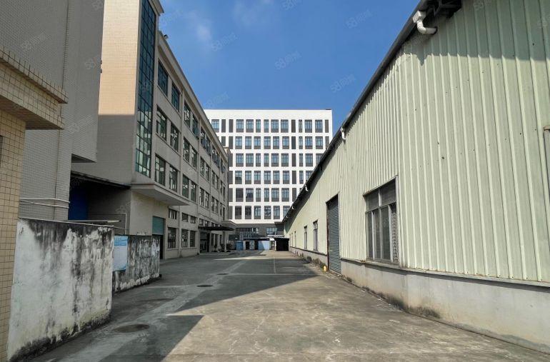 石排镇向西工业区原房东独门独院6500平方出租