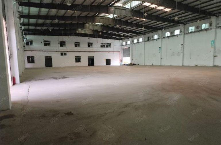 石排镇单一层厂房出租1500平方 8米高，带牛角。周边无居民