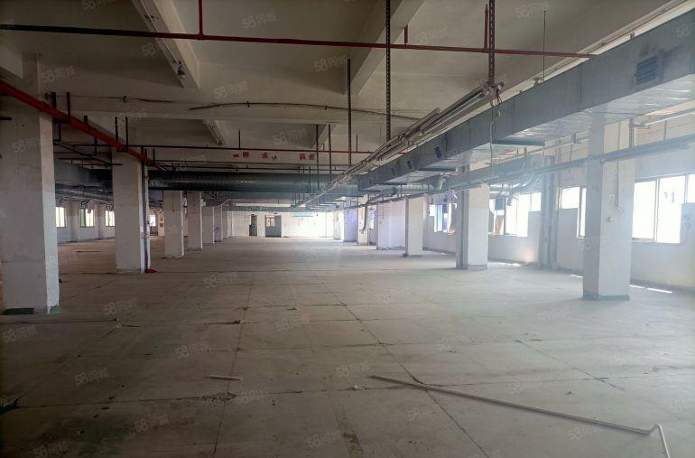 石排镇原房东5000方低价分租一二三楼