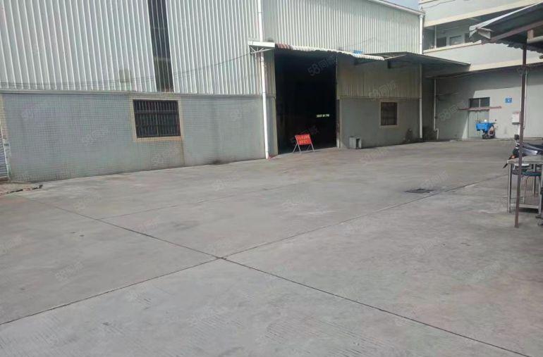 中堂江南标准厂房和钢构滴水10米厂房出租