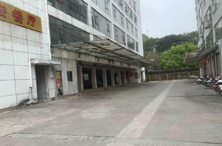 中堂江南标准厂房和钢构滴水10米厂房出租