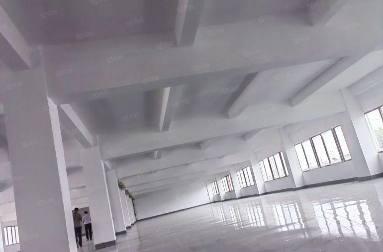 中堂镇原房东标准独院厂房大小分租现成装修实际面积出租工业用地