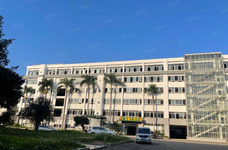 高埗镇 低涌产业园厂房低价出租1000平方空地大形象好可分租