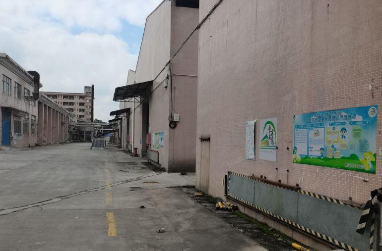 滴水高度8米！滴水高度8米！ 高埗镇滴水高度8米的单一层厂房