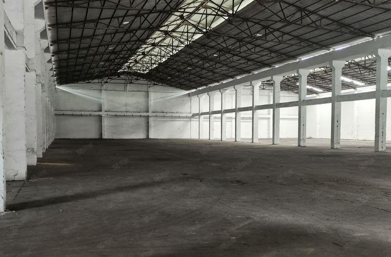 滴水高度8米！滴水高度8米！ 高埗镇滴水高度8米的单一层厂房