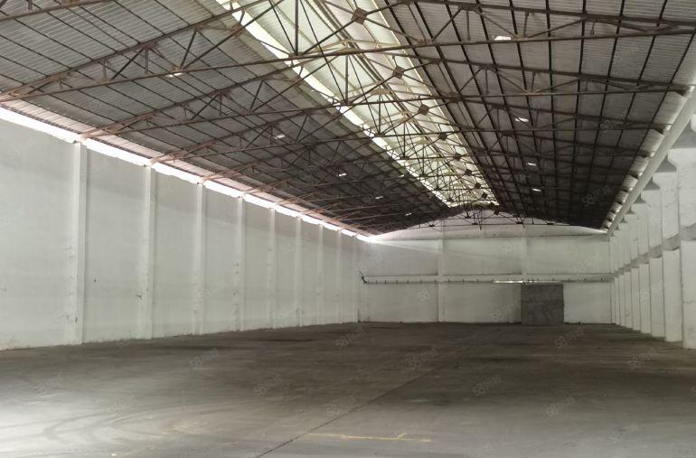 滴水高度8米！滴水高度8米！ 高埗镇滴水高度8米的单一层厂房