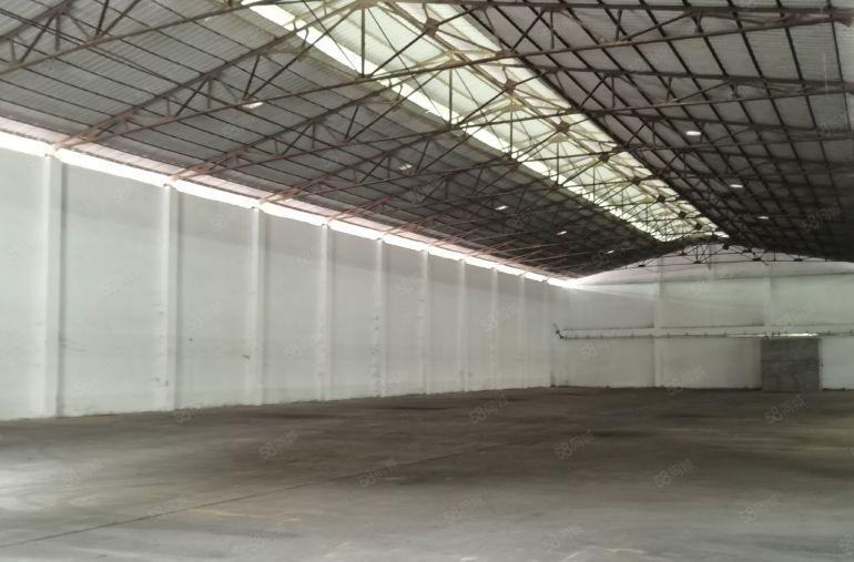 滴水高度8米！滴水高度8米！ 高埗镇滴水高度8米的单一层厂房