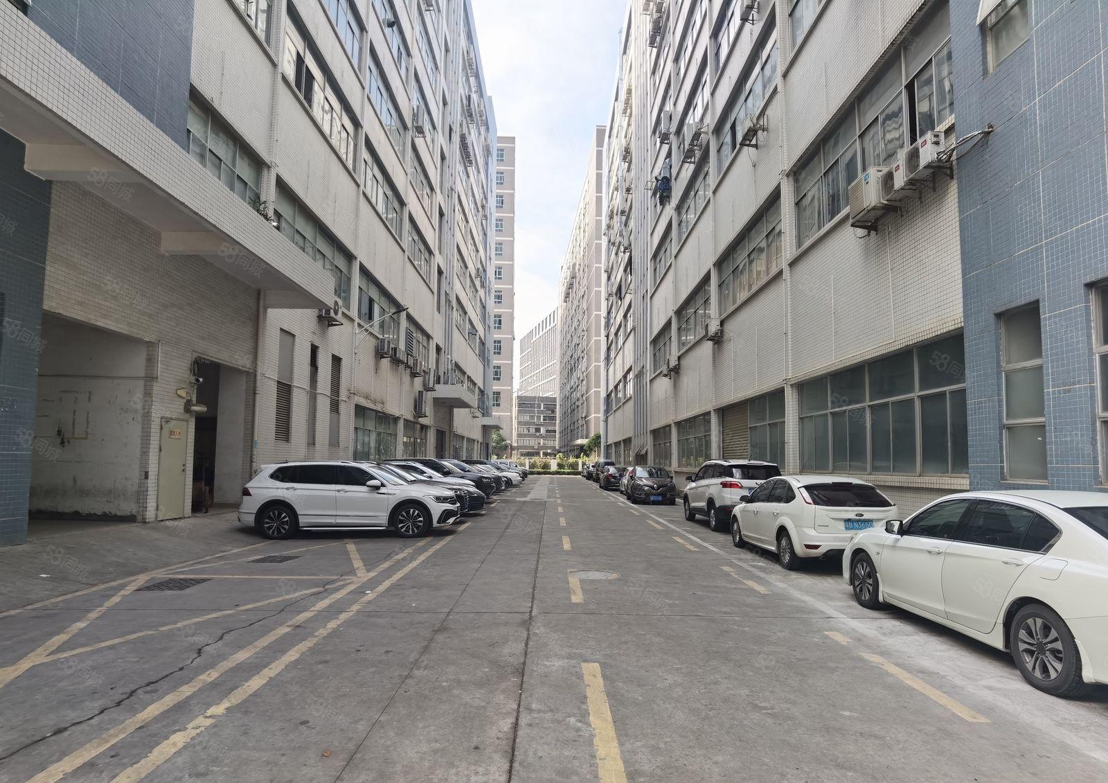 石岩北环大道新出带消防喷淋整层1613平