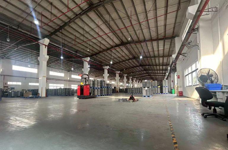 沙井独院单一层厂房出租2500平4000平6500平喷淋厂房