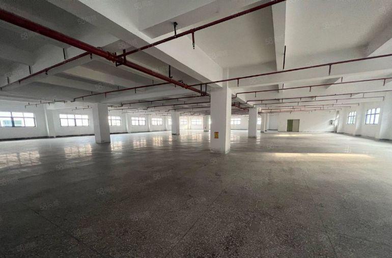 石岩仓库100平起至3000平 低价出租仓库厂房一楼公摊小