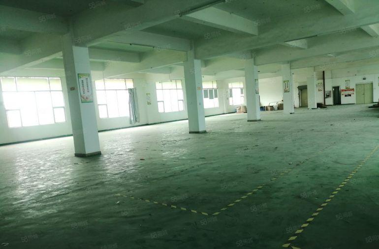 沙井松福大道边沙三附近三层楼独院厂房4836平方，