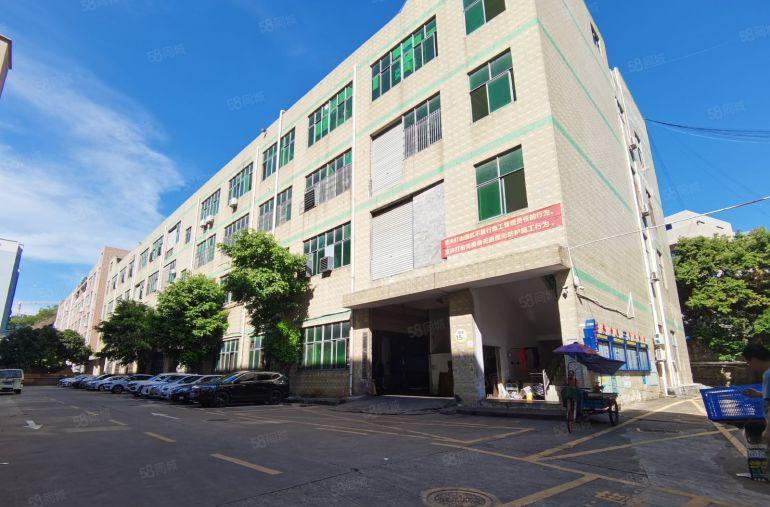 石岩350平标准厂房出租，全新装修，办公车间仓库，原房东