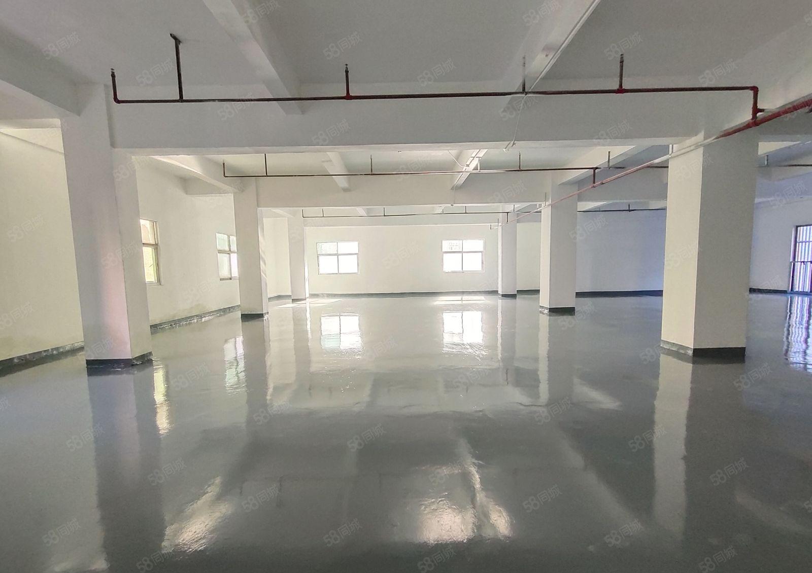 西乡，固成，宝安大道边，原房东全新装修550平整层办公，厂房