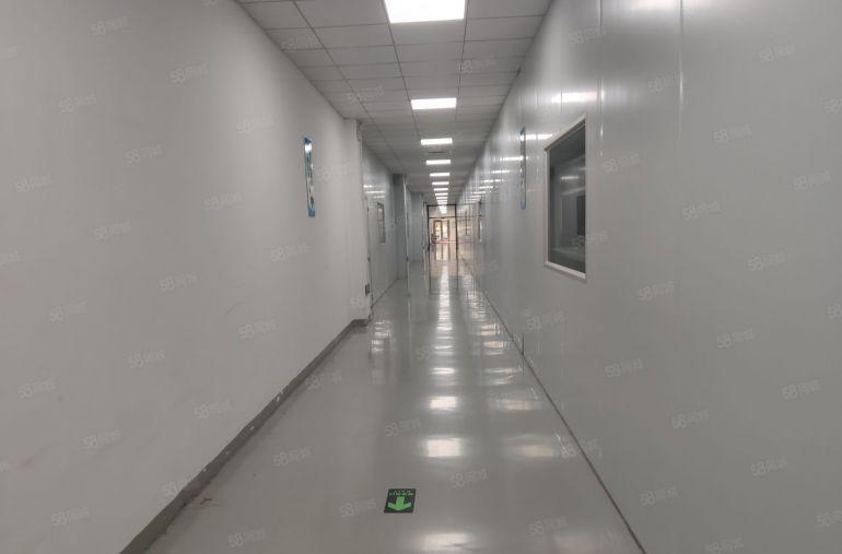 西乡十万级无尘车间整层3500平米出租